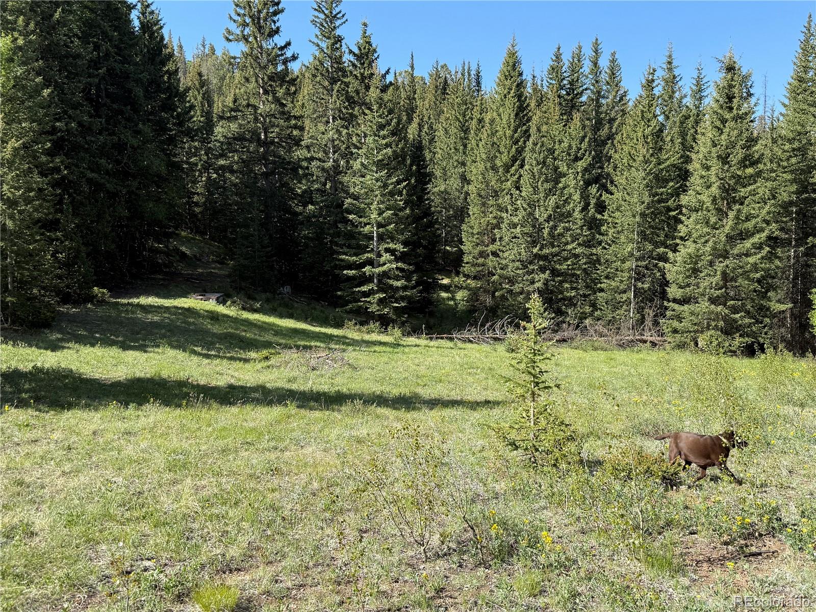 Lot 6843 Ryland Road
