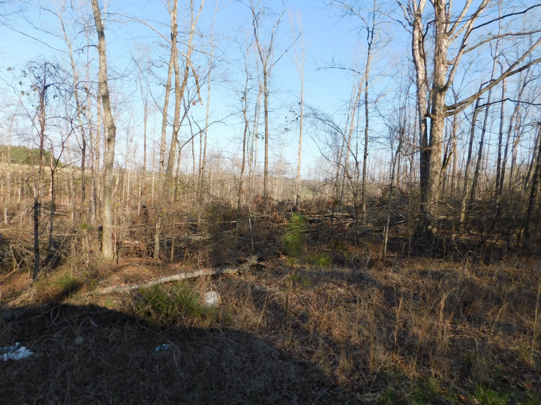 0 Lucas Ridge Road