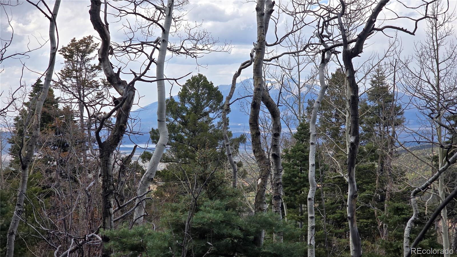 Lot 5261 Scott Road