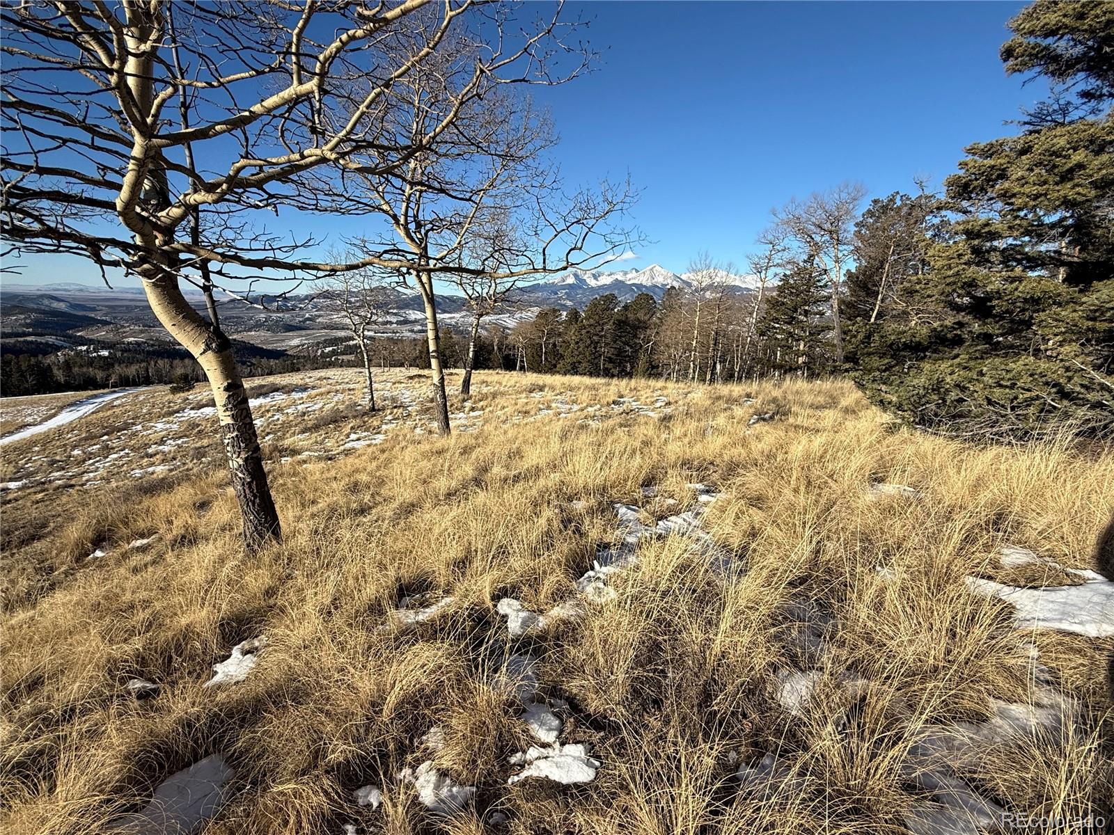 Lot 499 Collinson Drive