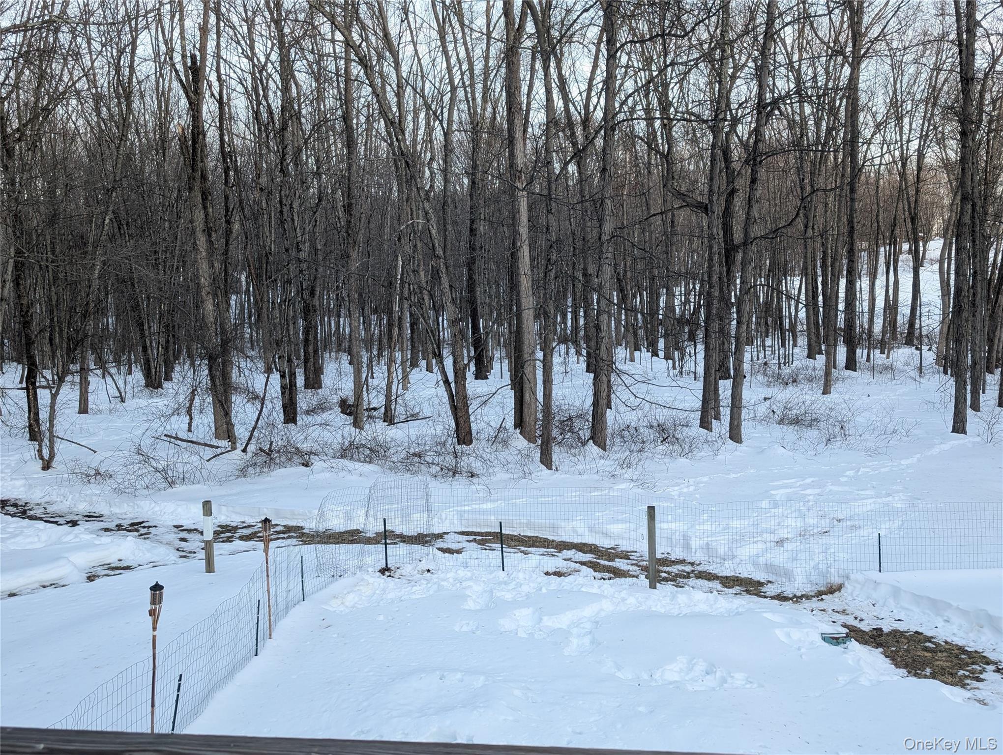 1407 State Route 208