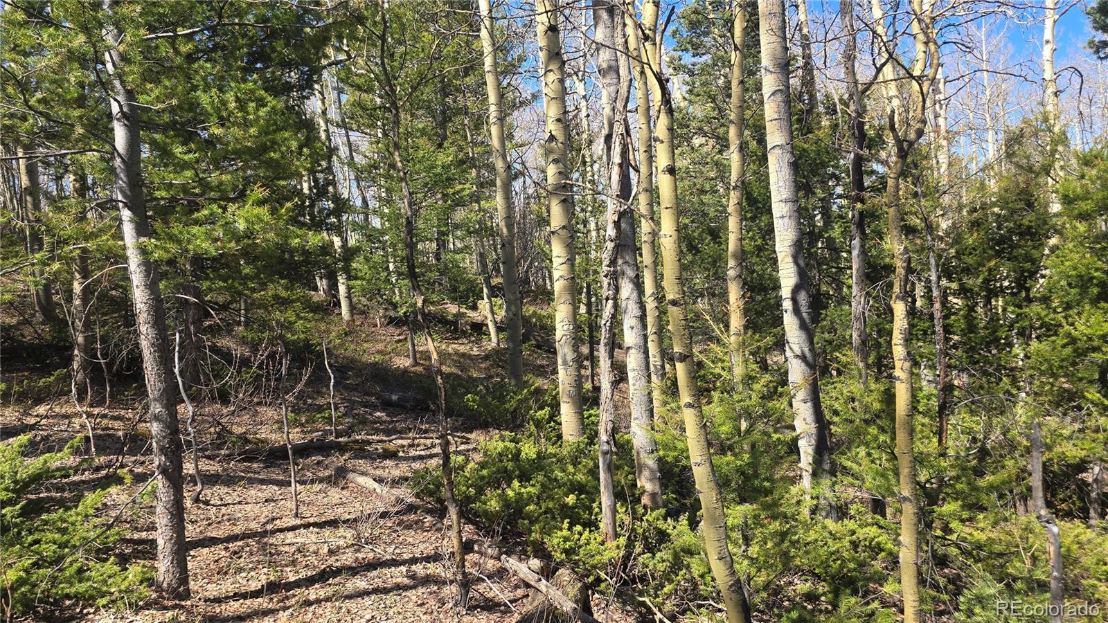 Lot 6708 Debbie Road