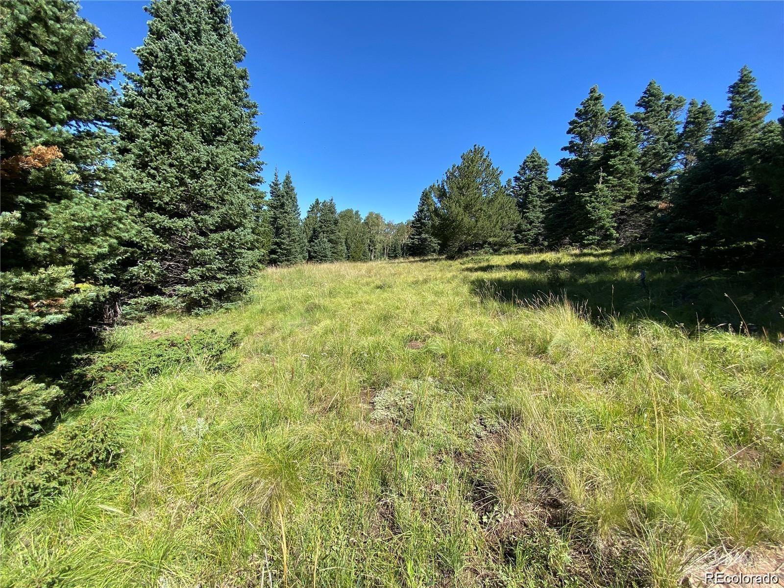 Lot 3141 Forbes Loop Road