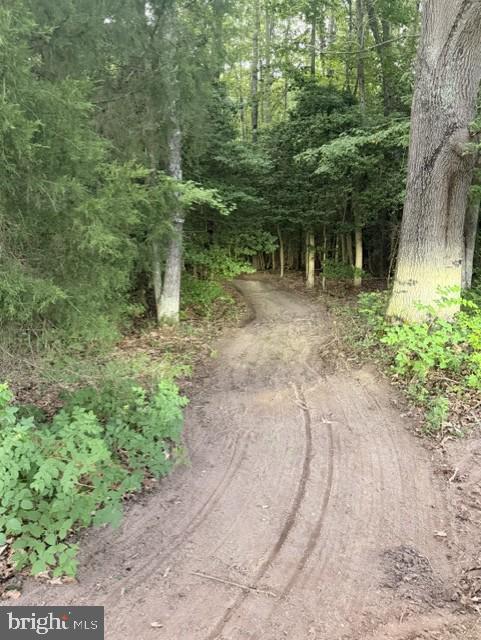 Offering a 41.29-Acre Parcel (TM 33-121B) that is part of a Stunning 85.29-Acre Farm Offering Privacy, Recreation & Endless PossibilitiesThe 41.29-acre main parcel is tucked away at the rear of the property, offering outstanding privacy and a peaceful setting surrounded by nature. It, along with the two adjoining parcels, has an approved and marked drainfield area, as shown on the county-approved drawings.On the same farm, Parcels 1 and 2 are each available to purchase separately or together (view MLS# VAKG2008514 for the entire farm listing) and encompass 22 acres each, providing generous homesites with ample room to enjoy country living. Lots 1 and 2 will only be sold with or after the sale of the main 41.29-acre parcel.Purchase the entire farm and discover the perfect blend of privacy, natural beauty, and opportunity with this stunning 85.29-acre farm. Thoughtfully subdivided into three separate parcels, each featuring a county-approved septic site, this exceptional property is ready for your dream home, family estate, recreational retreat, or investment opportunity.Parcel 1 (TM 33-121G) is 22 acres and includes an impressive approximately 40' x 40' engineered building, ideal for equipment storage, a workshop, or a future hobby farm. The building is fully insulated (excluding the sliding doors) and features a concrete floor, electrical outlets, and both interior and exterior lighting powered by your generator. The driveway leading to and surrounding the building has been improved with asphalt millings, providing durable, low-maintenance access throughout the year. This parcel will not be sold separately unless the other two parcels sell firstParcel 2 (TM 33-121H) is 22 acres and joins the Main Parcel and Parcel 1. Both Parcels 1 and 2 offer a mix of open field and mature forest.Outdoor enthusiasts will appreciate the entire property's extensive trail system, featuring several miles of scenic trails winding through a beautiful mature hardwood forest. Most of the primary trails have been maintained as 6+ foot-wide paths, making them ideal for hiking, horseback riding, hunting, compact tractors, ATVs, and UTVs. Whether you're exploring the woods, enjoying abundant wildlife, or simply taking in the peaceful surroundings, this property offers year-round enjoyment.With breathtaking natural beauty, multiple approved building sites, valuable infrastructure already in place, and endless opportunities for recreation and outdoor living, this remarkable property is truly a rare offering.Showings are by appointment only and must be scheduled with the current owner.The seller may elect to complete the sale as part of a 1031 Exchange.