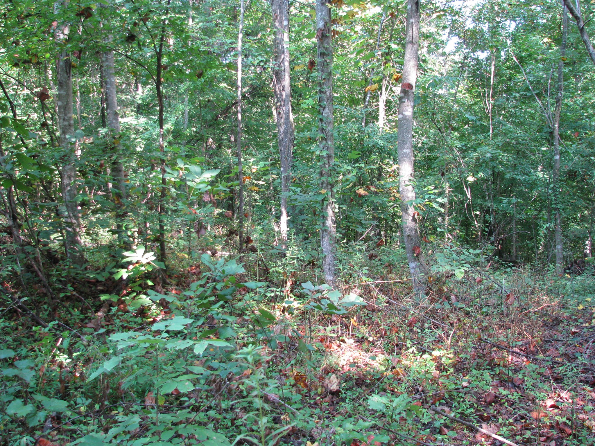 0 Sycamore Landing Rd