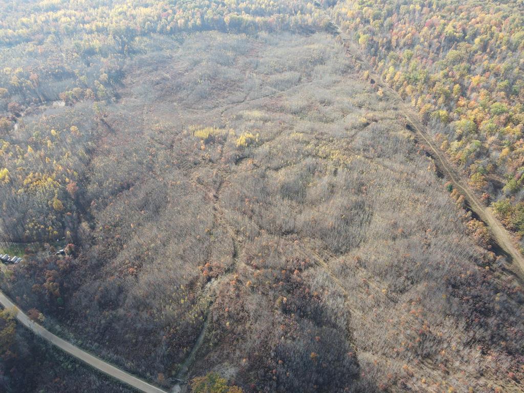 Clare County 80 vacant acres.  Located just South of Harrison a couple miles. Property was clear cut several years ago and has exploded with regeneration providing tons of food and cover for the deer and grouse.  The old logging roads are starting to overgrow and could be cleaned up to provide access thought the rolling hills.  Still time to get into this one this deer season. There is a home on 70 ac m/l next to this and could be bought together, you can see entire listing at 401 S. Bass Lake Ave. Call the listing agent directly for more information.**Maps contained on our sites are there to simply depict the over all layout or shape of a given property and show what it looks like from an aerial view. These maps are neither a legally recorded map, or any type of a legal survey and should never be used as such. Also ''Acreage'' amounts are displayed as according to the information we have obtained through local government and are in no way guaranteed or warranted to be exact** Current use is Hunting,Recreational.