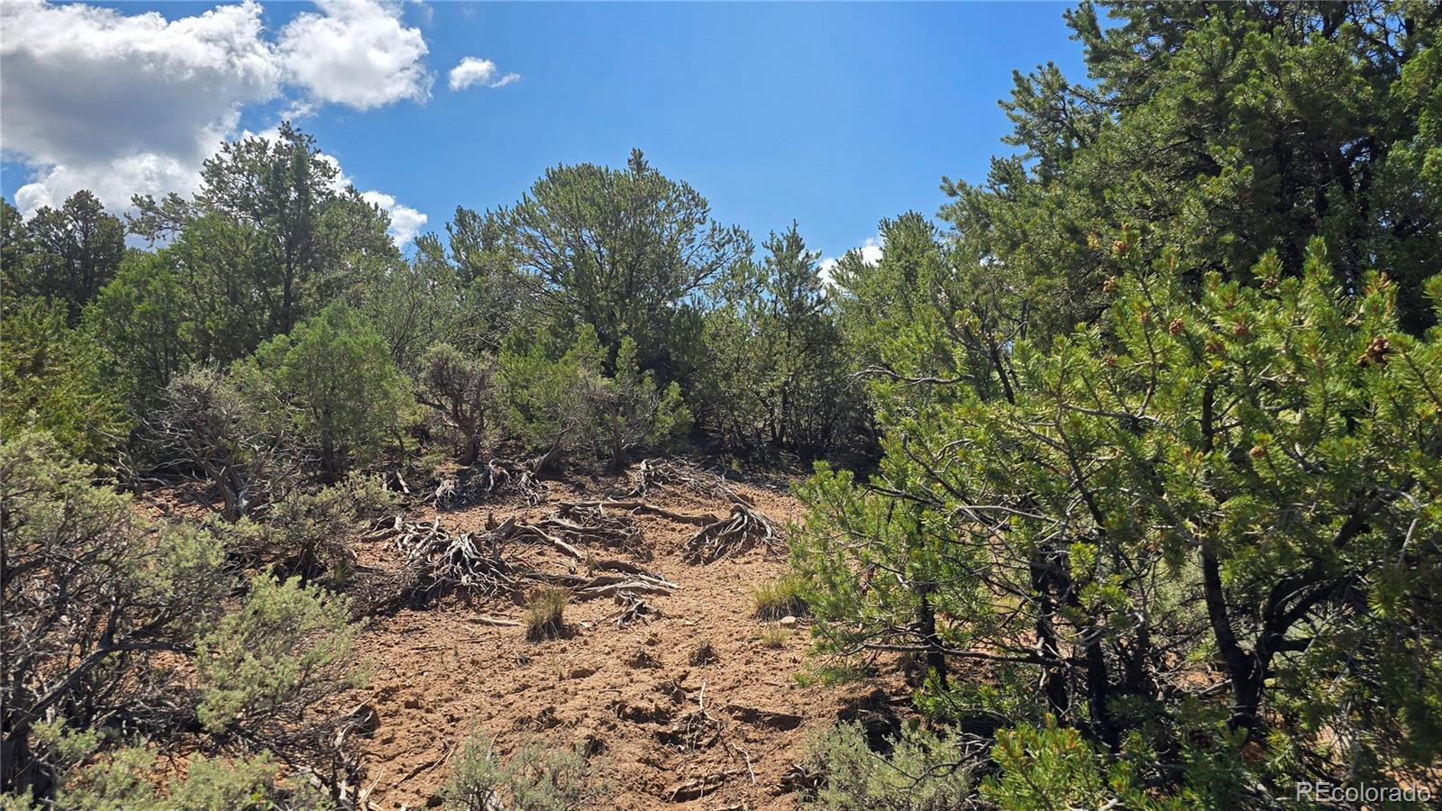 Lot 1615 Dunn Road