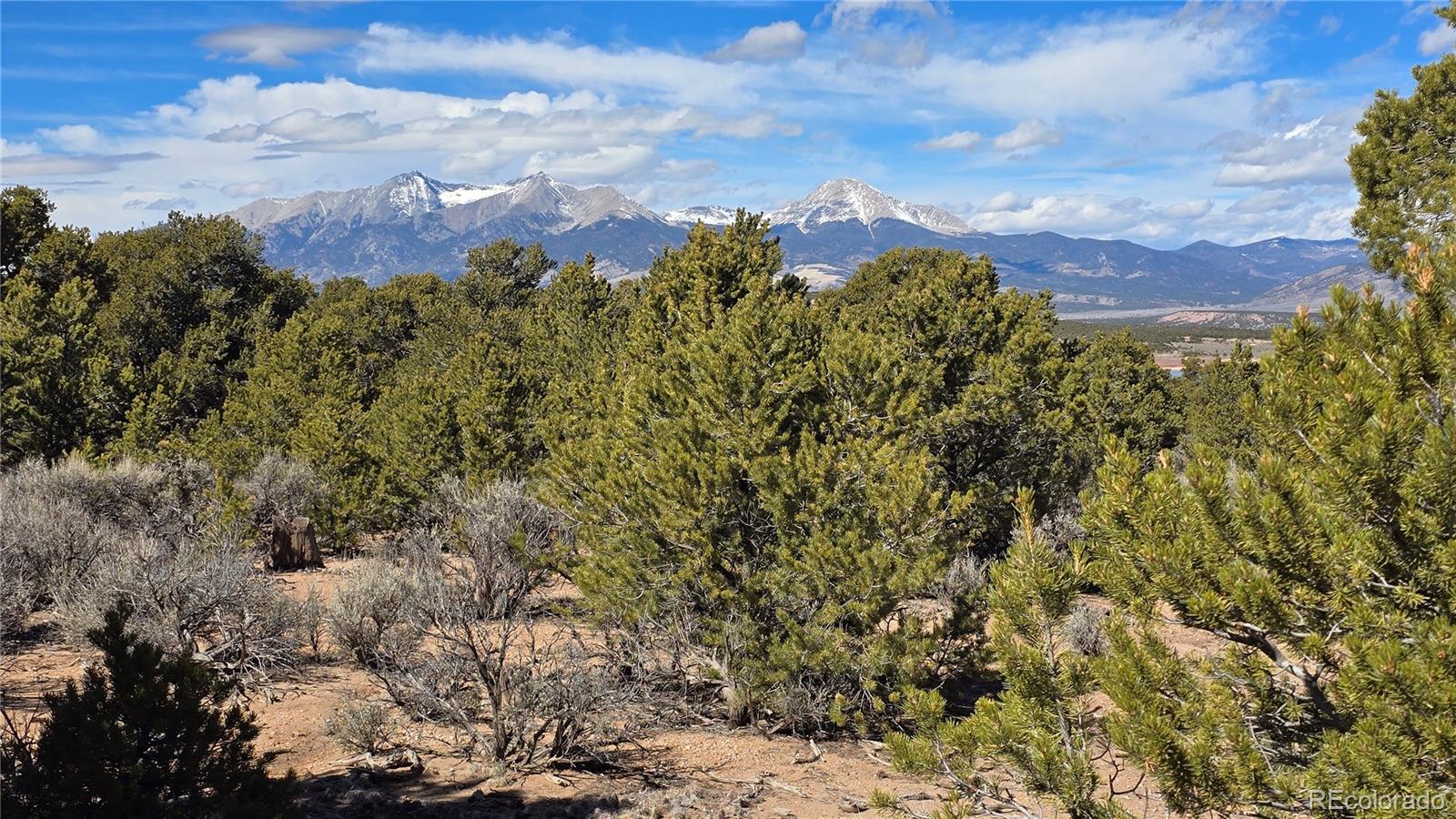 Lot 409 Williams Road