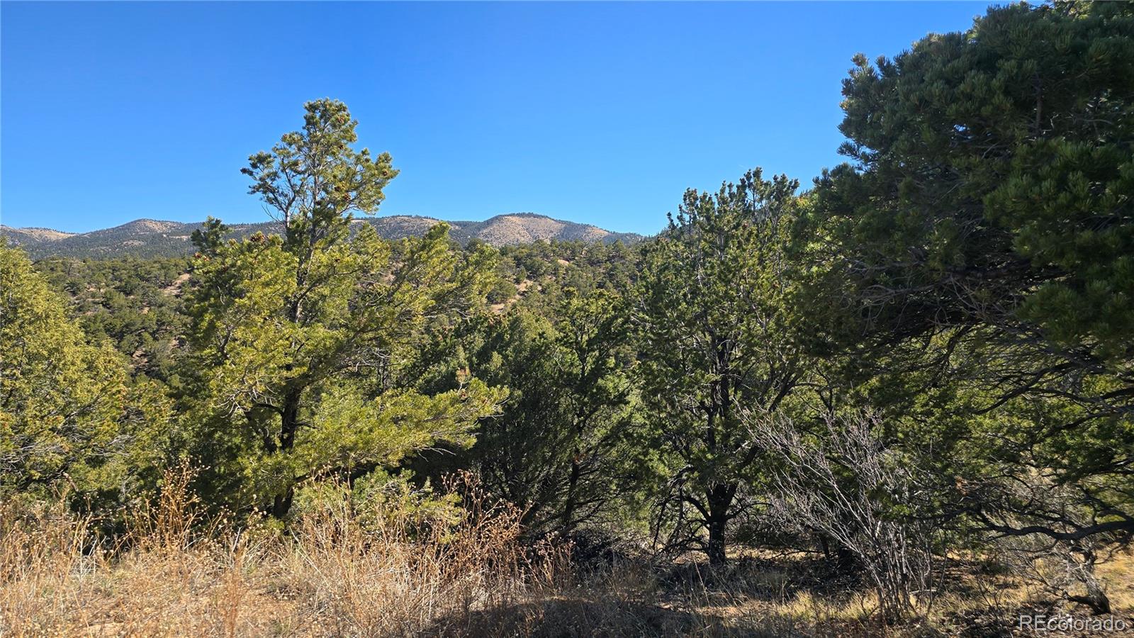 Lot 5996 Rod Road