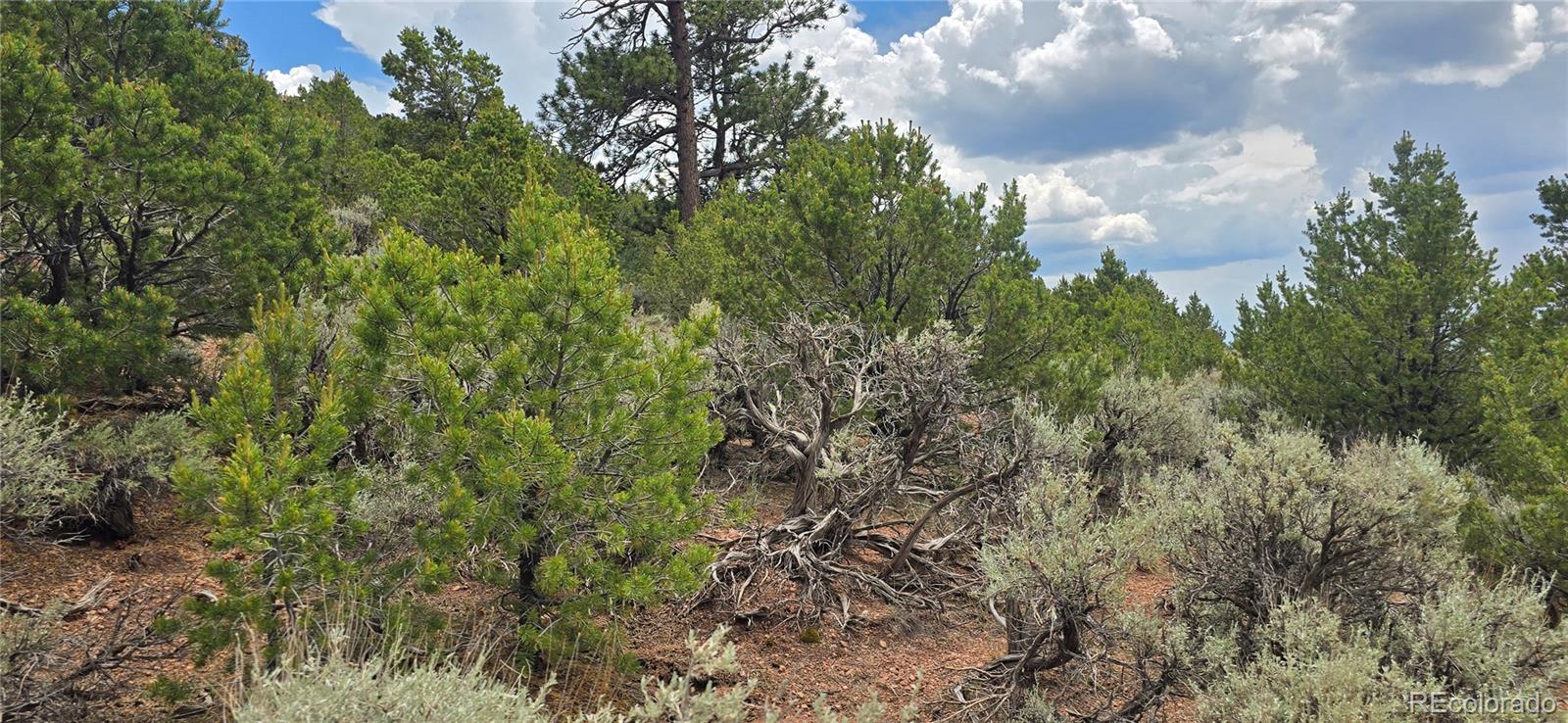 Lot 4401 Melcarth Road