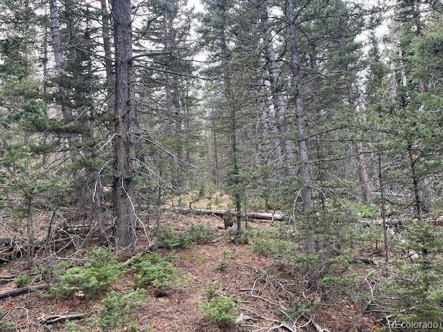 Lot 3091 Sterenson Place