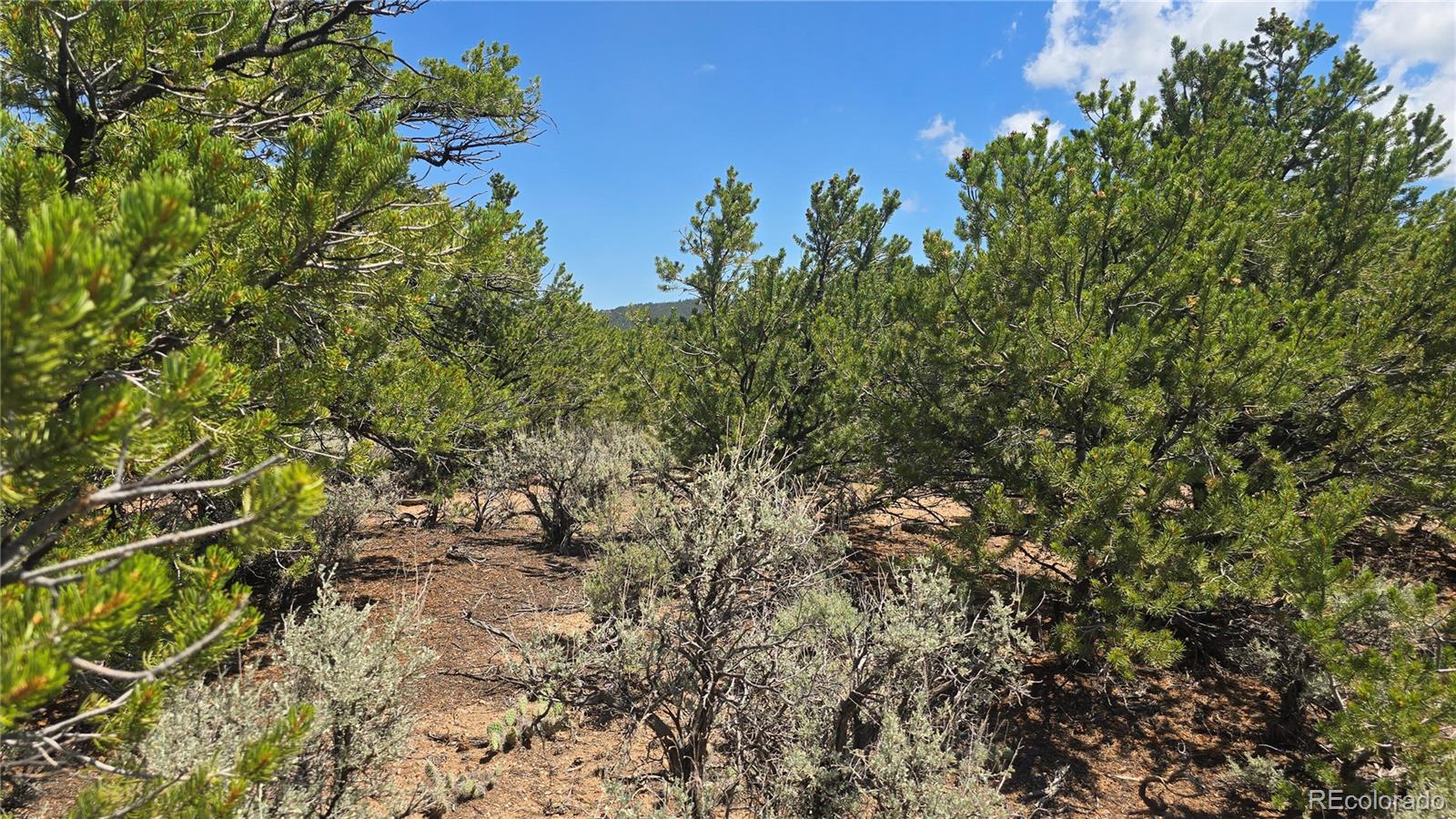 Lot 1615 Dunn Road