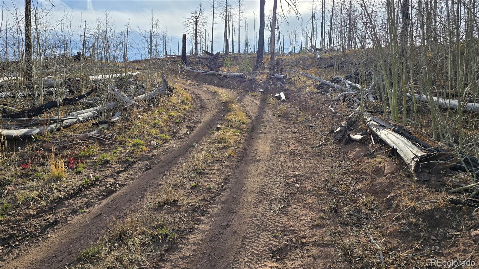 Lot 880 Slaoui Place