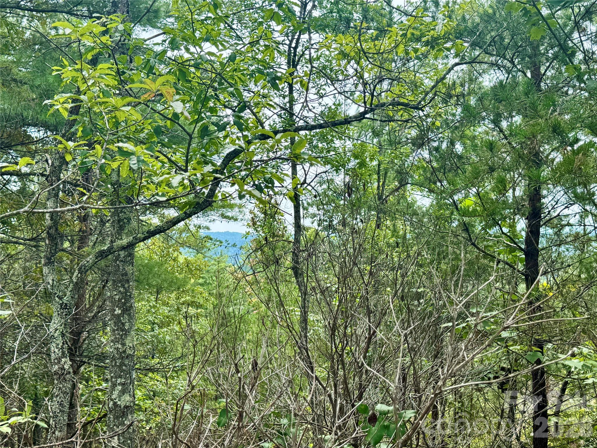1.46 acres, Lot 48 Tomahawk Ridge Drive Lot 48
