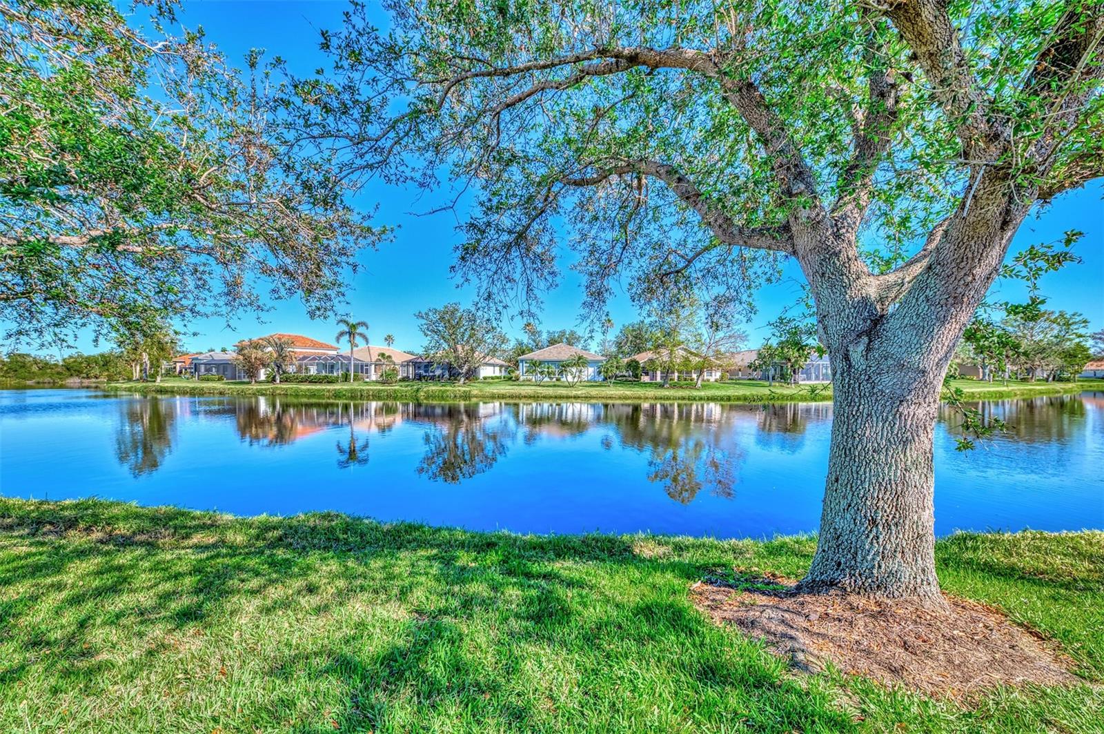 3179 Osprey Lane