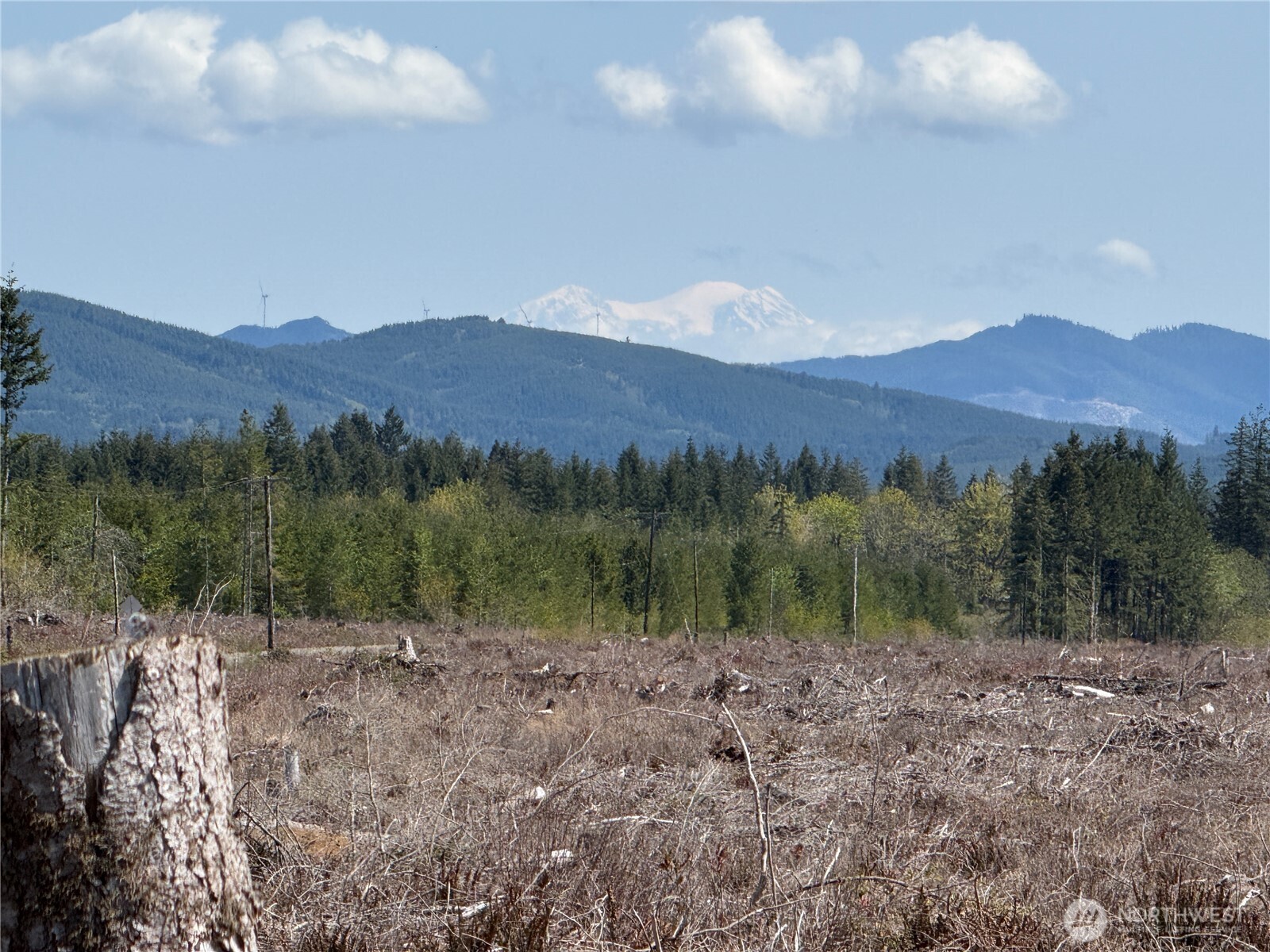 About 112 acres of level to gently rolling timberland with offer half a mile of frontage on Oppelt Road. Excellent location for large, forested estate with views - located east of Chehalis and north of Onalaska!  Power and phone in street. Potential for future revenue in well-managed Douglas Fir stands. About 72 acres recently harvested to be replanted by owner. remaining timber 19 and 30 years old.  High Site Class 2 ground. Forestry zoning.  Buyer to verify all information to own satisfaction.