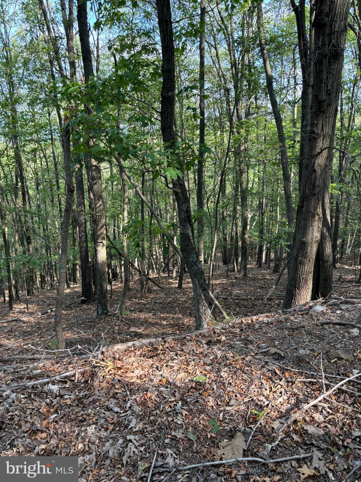 699 Chickloon Lane