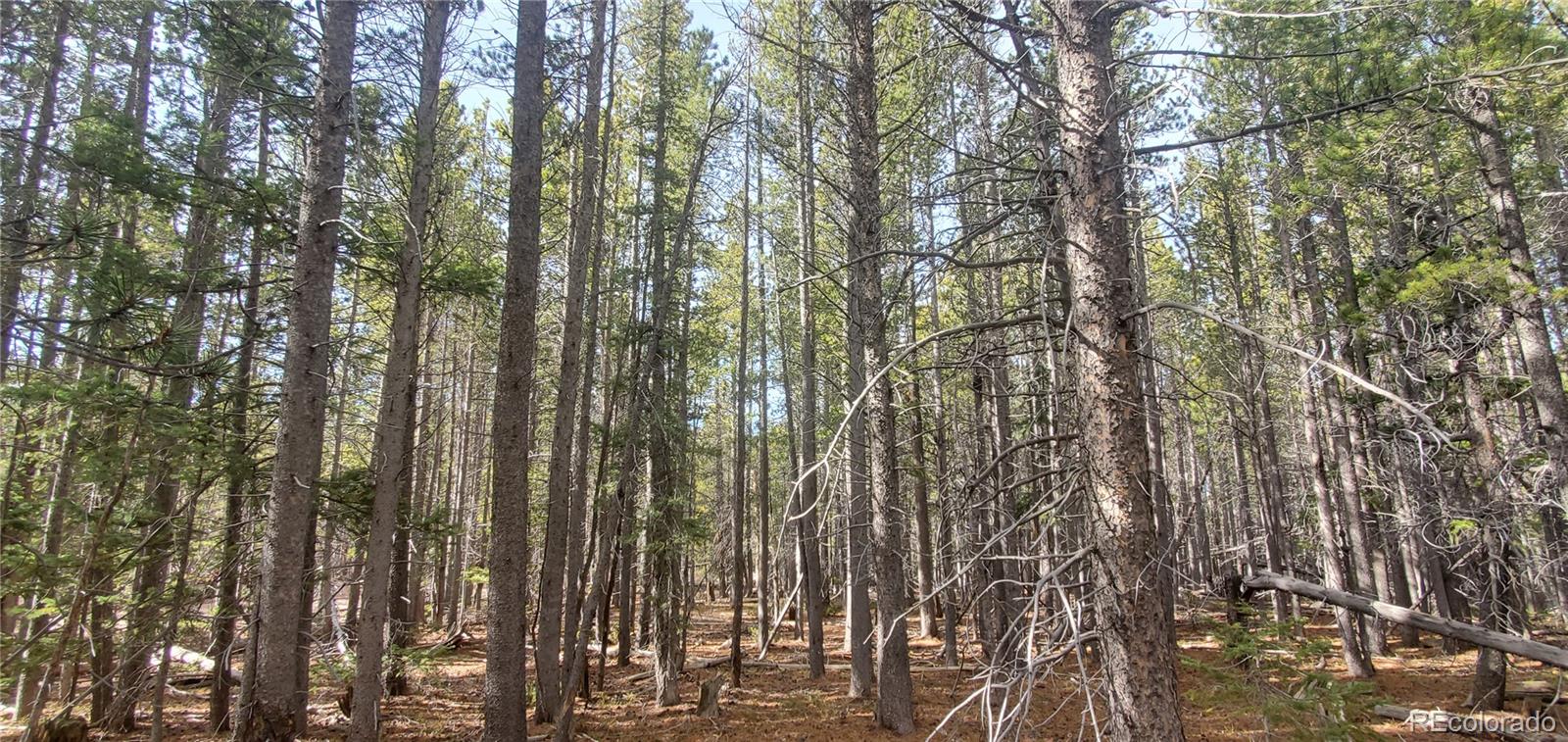 Lot 3246 Zipf Lane