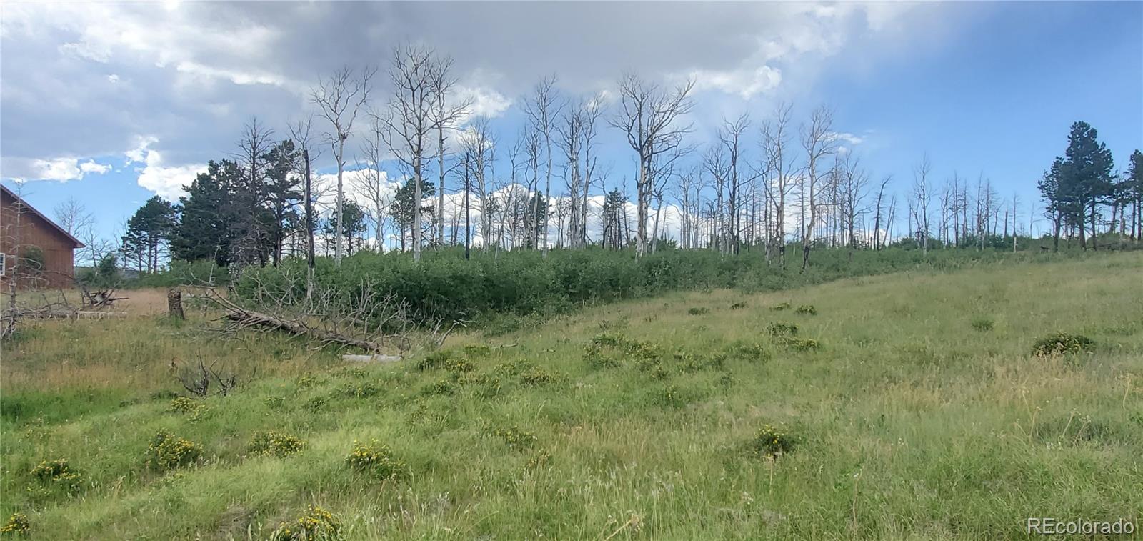 Lot 1720 Fitts Place