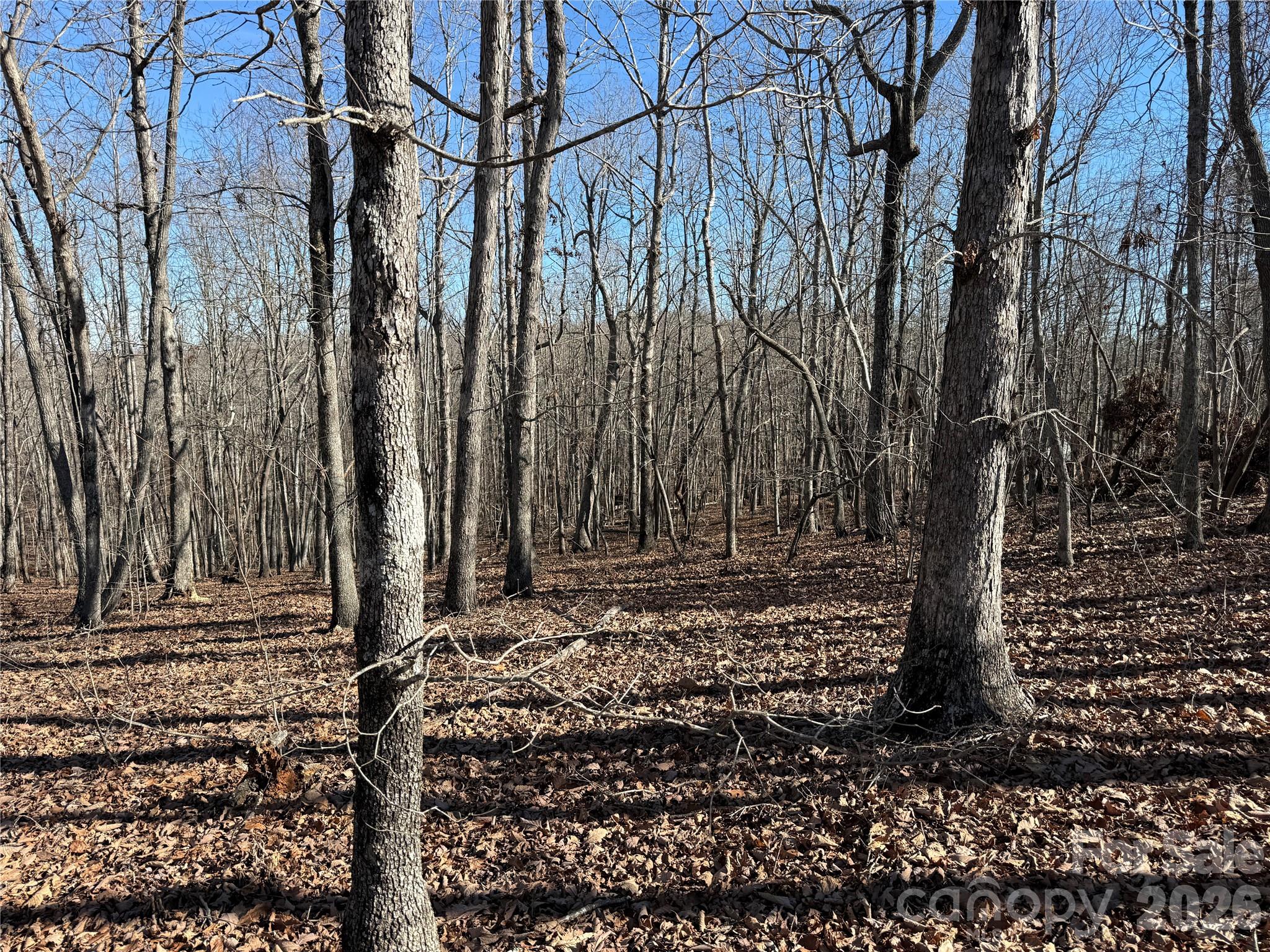 108 Woodgate Trail 94