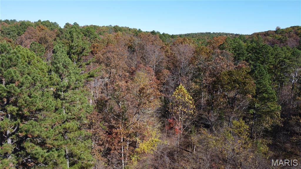 10256 Christina Trail