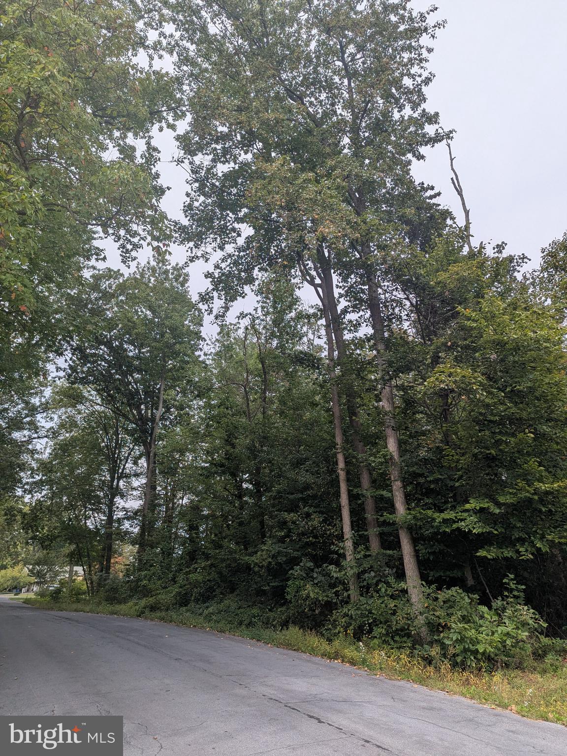 Fox Trail Trail