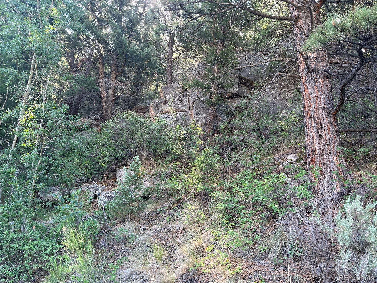 Lot 143 Forbes Wagon Creek Ranch 6082089 Land Farms, ranches