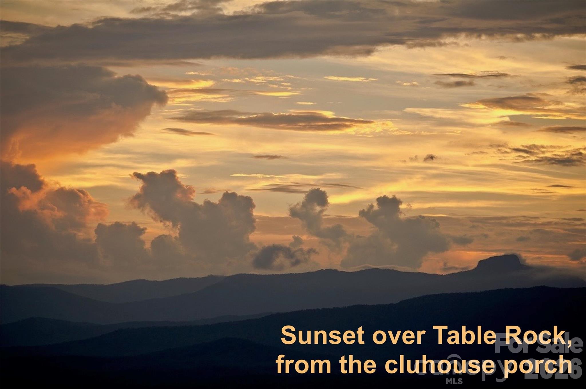 4374 Poplar Bluff Drive