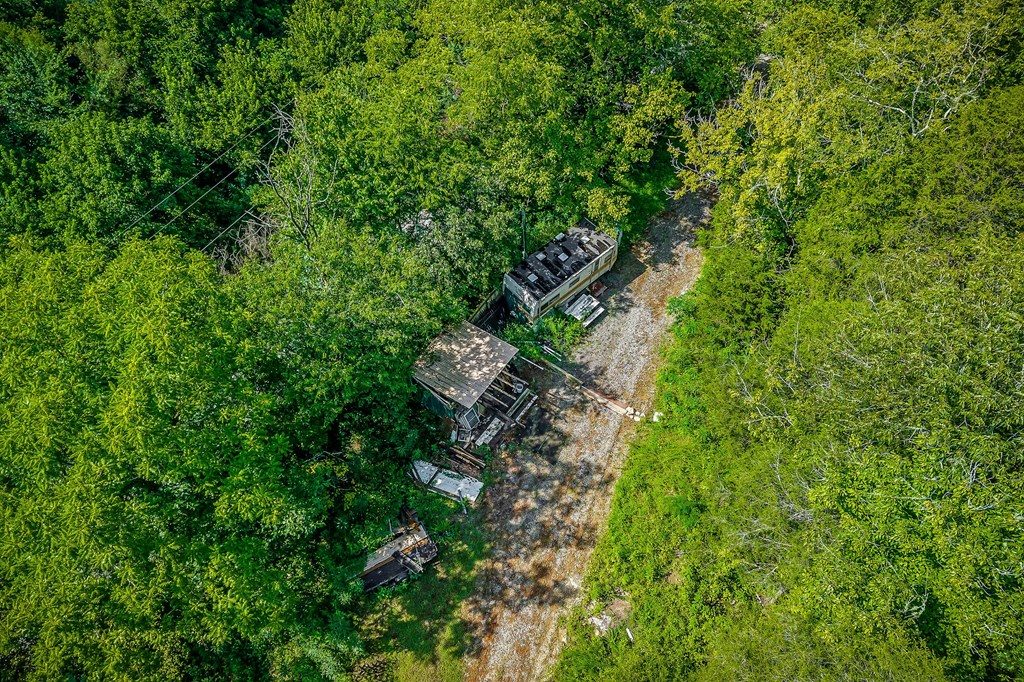 392 Possum Hollow Rd