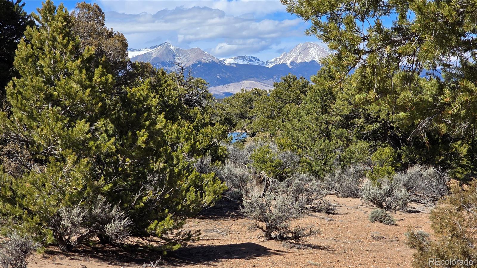 Lot 409 Williams Road