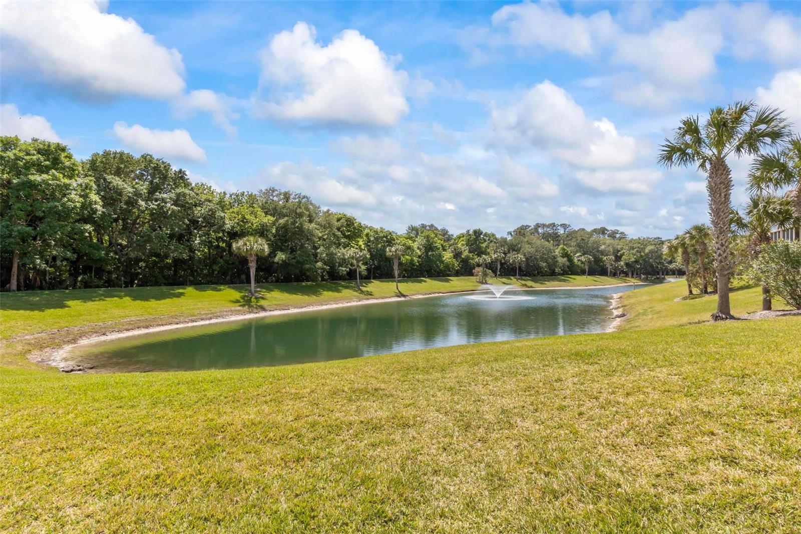1100 Canopy Walk Lane 1111