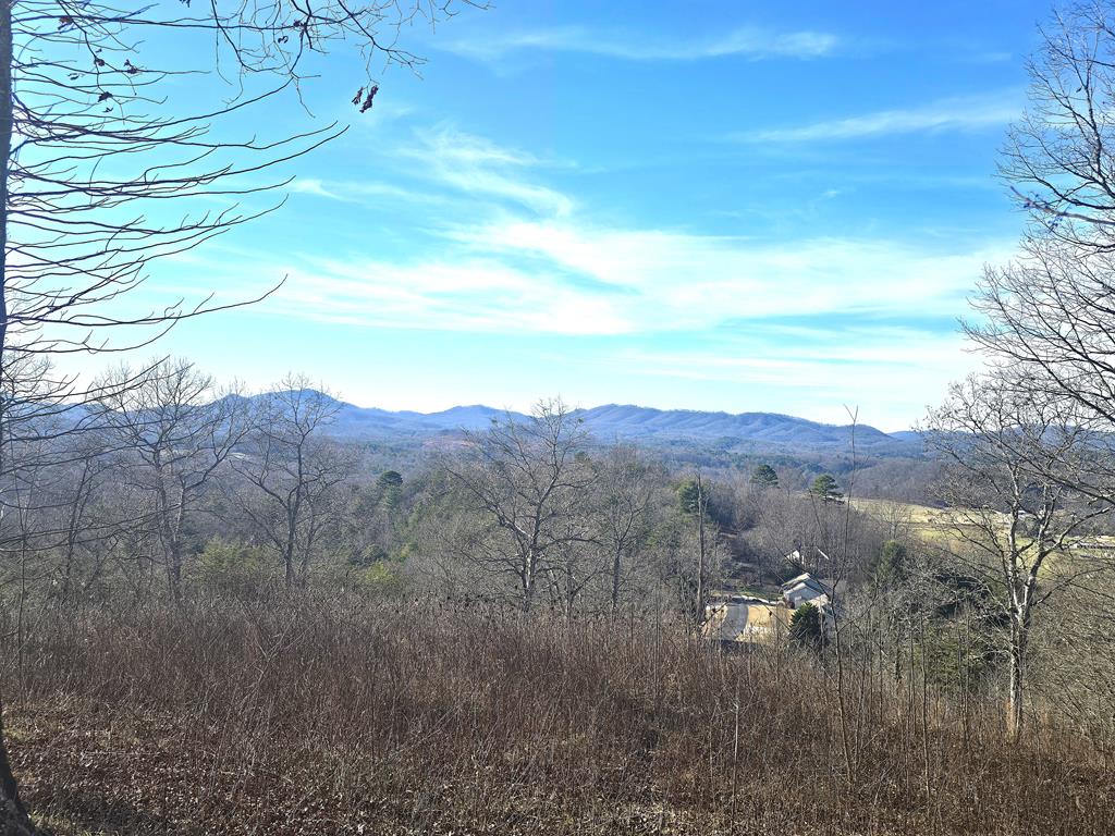 Long Range Mountain Views!!! Large tract of land with beautiful 360 degree views. This is a great location with just a short drive to Hayesville, Young Harris, Hiawassee, Blairsville, and Murphy. There is easy, paved access to the property as well as a good gravel base road already on the property. There are several great places to build with some gentle sloping land, that gives way to the great views. The way the property is situated along a ridgetop with usable land offers the best building opportunities to cut down on costly challenges that you often face on steep ground. The driveway going along the top of the ridge is a bonus as well because it eliminates the steep driveways and sketchy approaches to houses that you often have here in the mountains to get these views. This property has so much potential for a mountain estate or a developer. It's mostly cleared and would be great for just one home, or many. Come see this property for yourself, call for more info!!