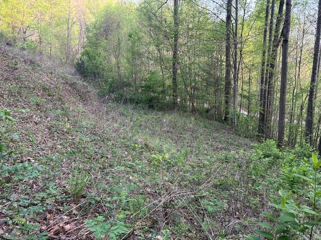 Unrestricted 2.12 acres located near Fontana Lake and the Great Smokey Mountain National Park.  Just a short drive off Hwy 28 brings you to this quiet wooded tract with mountain views.  From its tall hardwoods on its upper slopes to the gentle grade near the road, this property has tons of potential.  A leveled pad for a house or camper was put in at one time with an access drive from the road.  Just needs some cleaning up.  So close to all the treasured activities that make this part of western North Carolina special.  A must see