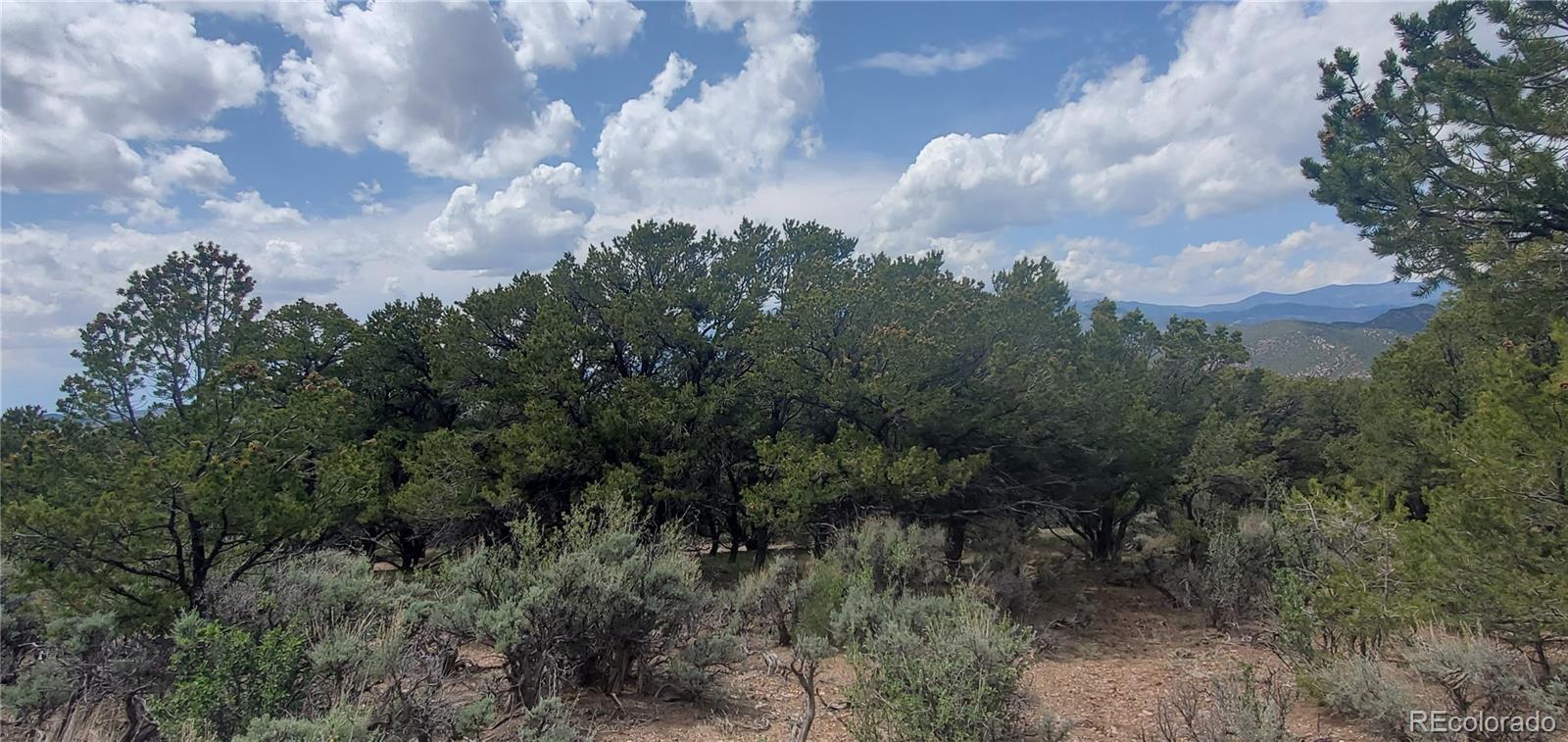 Lot 7853 Malott Road
