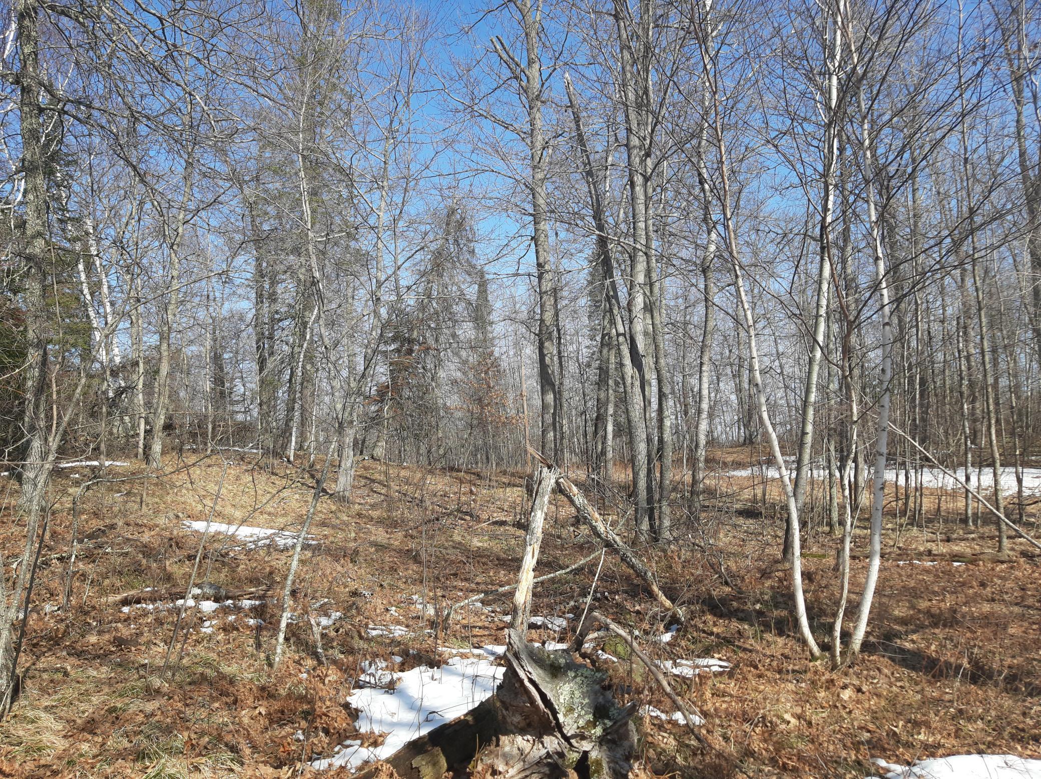 TBD Washburn Bay Trail NE