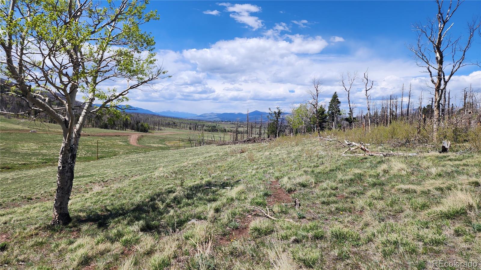 2334 Wohlstetter Loop