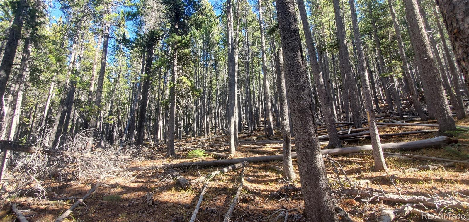 Lot 2682 & 2683 Purnell Lane