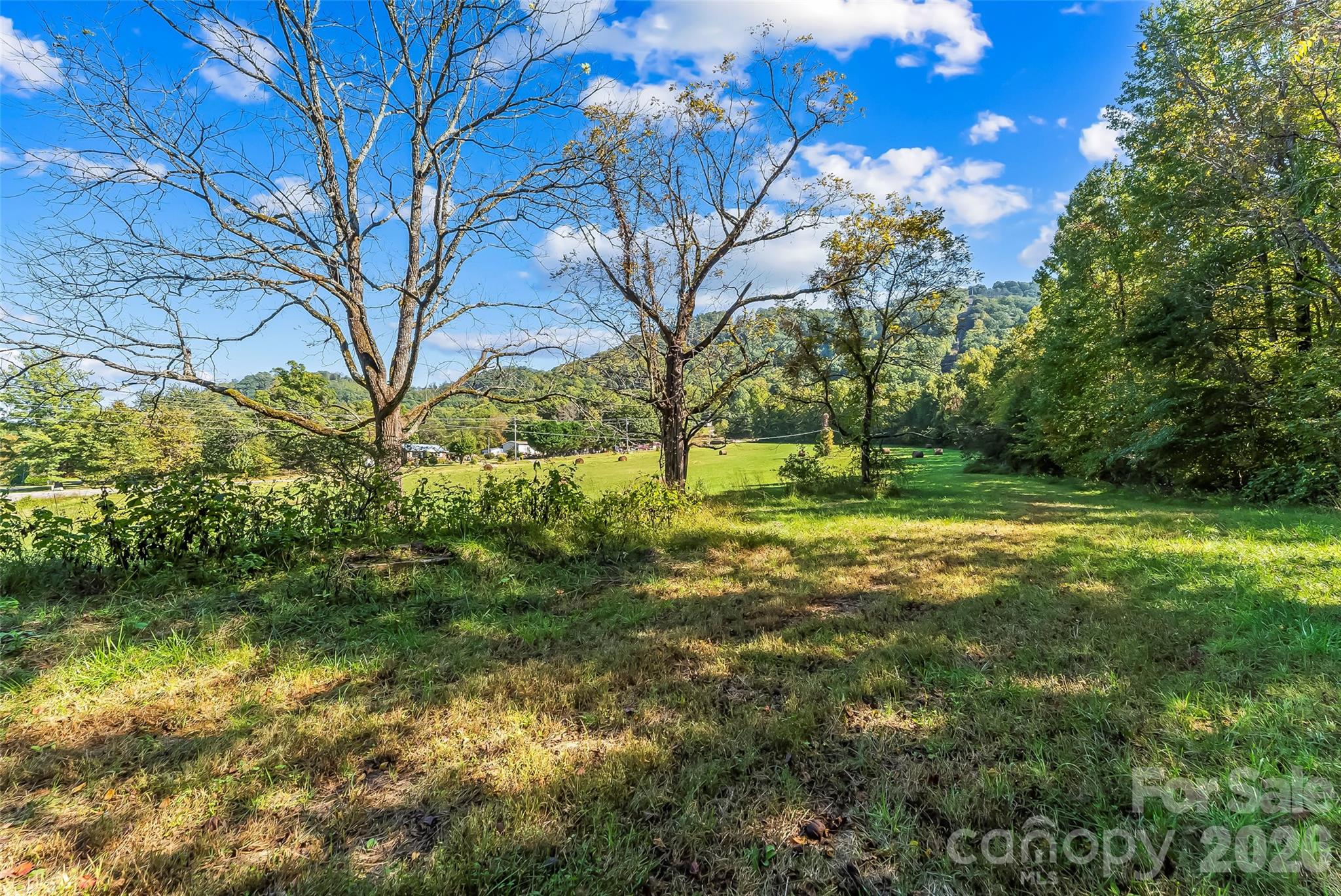 5246 & 5623 Burkemont Road