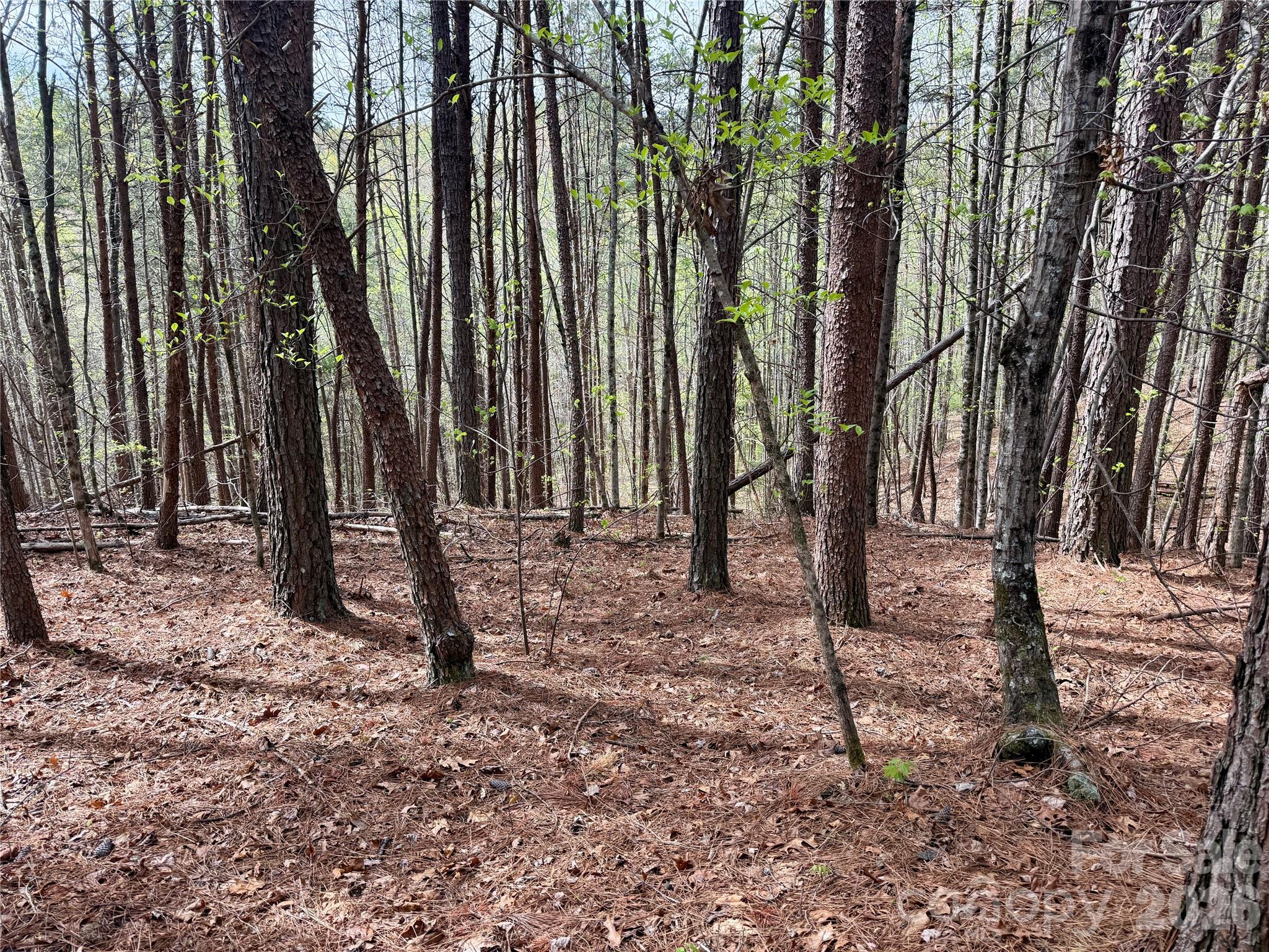 Lot 488 Bella Vista Way 488