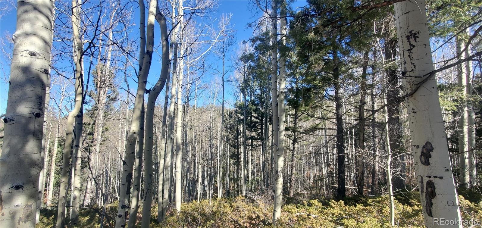 Lot 6060 Forbes Road