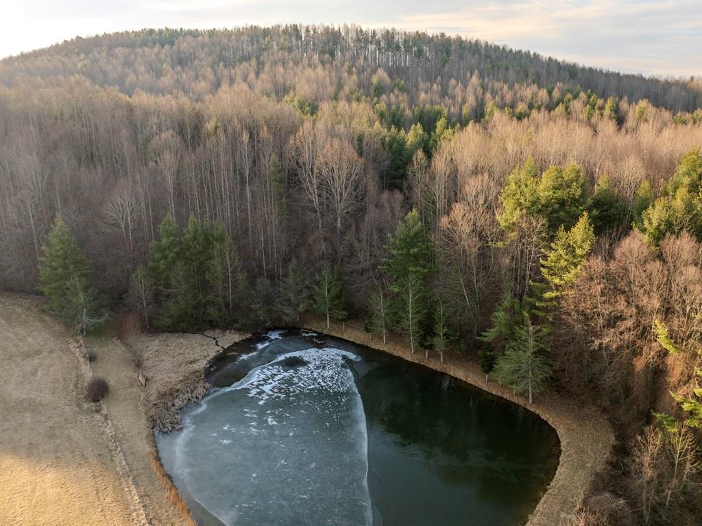 Check out this 64 acre property of beautiful wooded land in desirable Woodlawn. Perfect for your dream Blue Ridge Mountain home, a weekend getaway, or an investment. Nestled in a quiet rural area, this property features rolling hills and slopes that offer stunning views and plenty of privacy. Highlights of this land include: - Mature trees scattered throughout, which add charm and value. A gentle stream that flows through the property, leading to a shared pond where you can relax or enjoy some fishing.  Great opportunities for hunting, thanks to the diverse wildlife that calls this area home. No restrictions. You can build, camp, farm, or simply enjoy nature. Ample space for outdoor activities with Mother Nature, hiking, ATV riding, or birdwatching. This property is a unique find for anyone looking for a peaceful retreat, recreational opportunities, and possibly investment potential all in one. It's semi-secluded yet easily accessible, perfect for escaping the busy city life.   Don't miss your chance to own this large land tract.