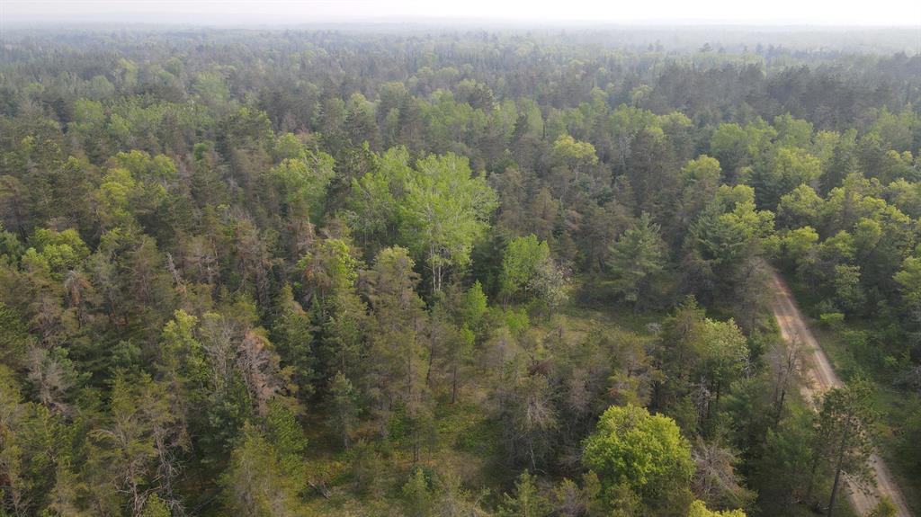 This 39.23 acre tract has to potential to be an awesome hunting property. There is a nice trail system in place with a couple clearings that would be the perfect food plot locations. This one has the ingredients to be an outdoorsmans paradise. Loaded with Deer, Turkey, Bear and other wildlife if you simply add the food they will be there. There are also some excellent build spots at the road that would be the perfect spot to build a home or cabin. There is an additional 49.57 acres available adjacent to North Cherry Creek Road. Current use is Hunting,Recreational.