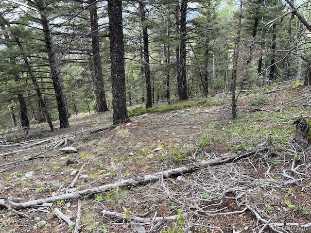 Lot 6184 Ryland Road