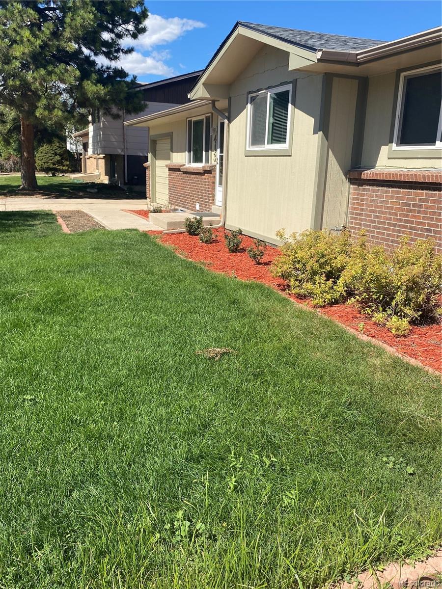 Lone Tree Homes For Sale 500,000 to 600,000