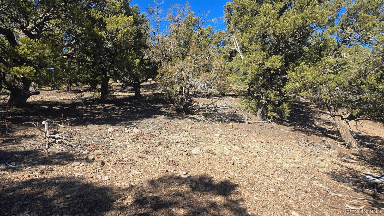 Lot 7527 Mcgillicuddy Road