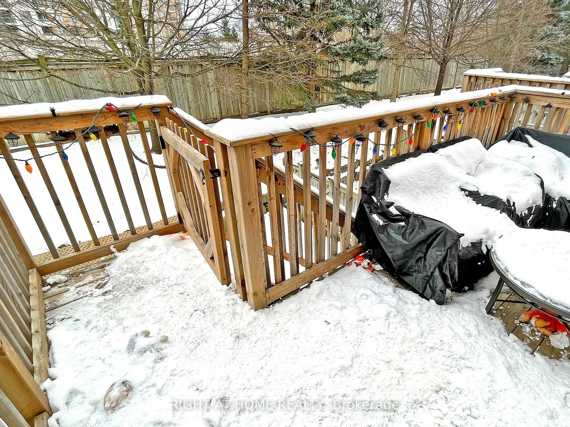 51 Northern Heights Dr 16B