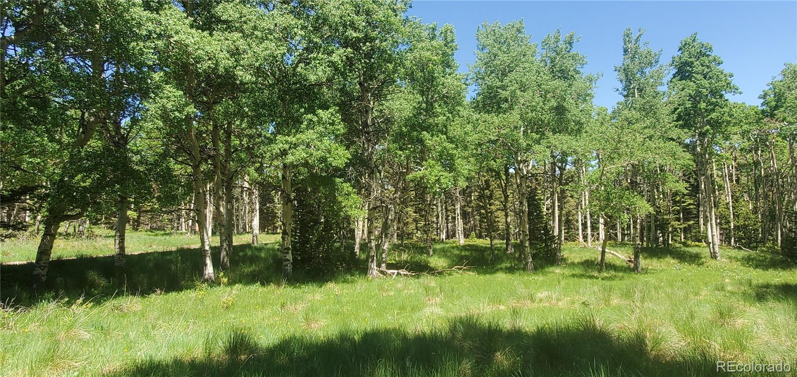 Lot 3085 Henderson Lane