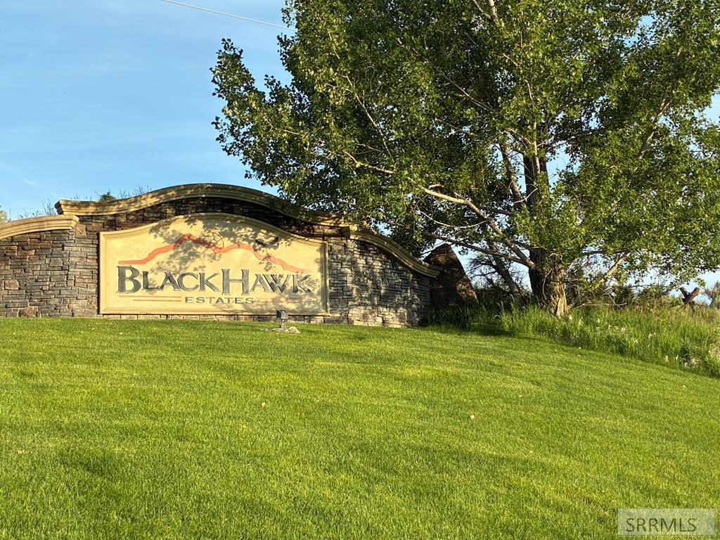 4610 E Dusty Bison Circle