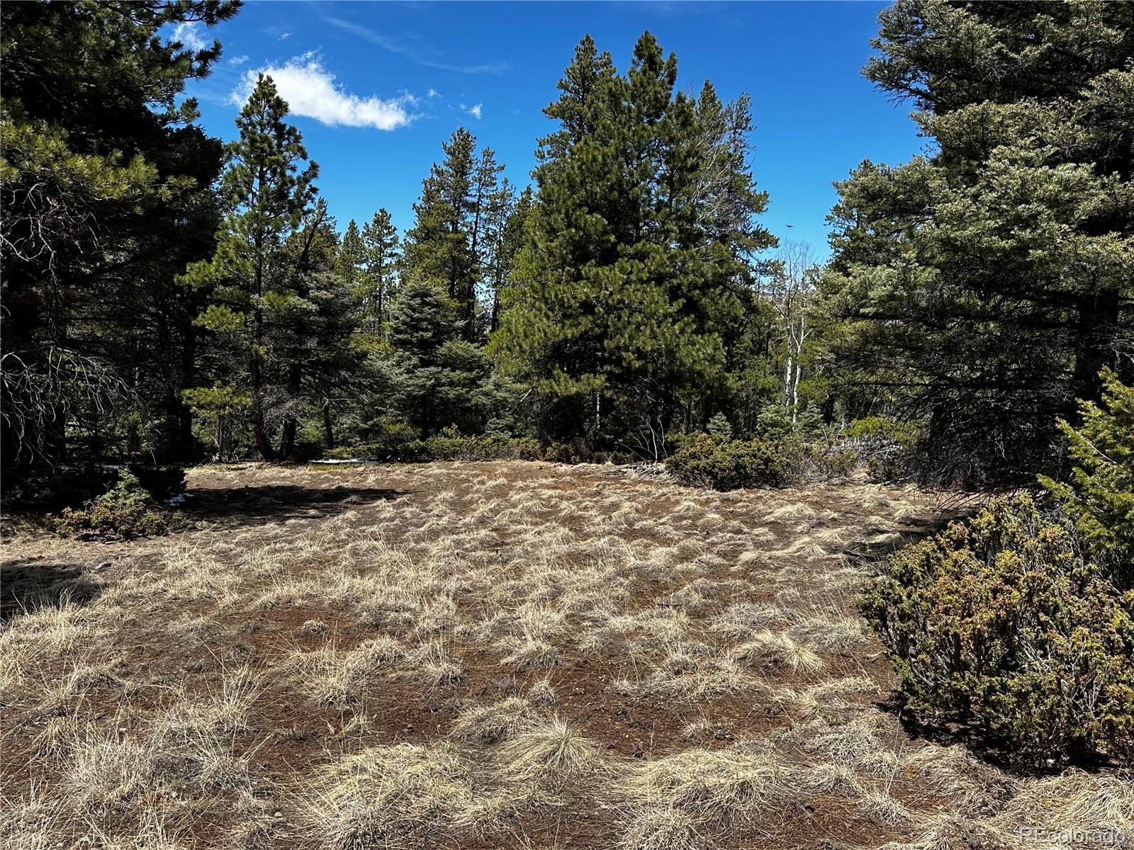 Lot 174 Ferris Place