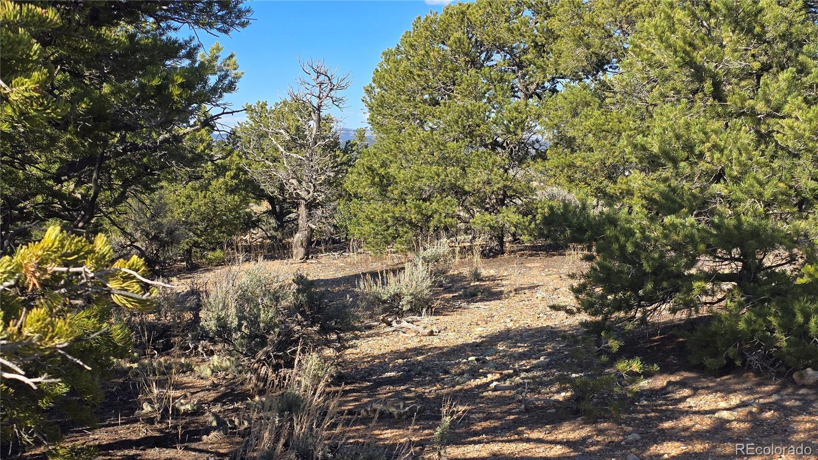 Lot 3886 & 3887 Galloway Road